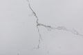 Pavimento SPC Faster Serie Lite Stone Carrara
